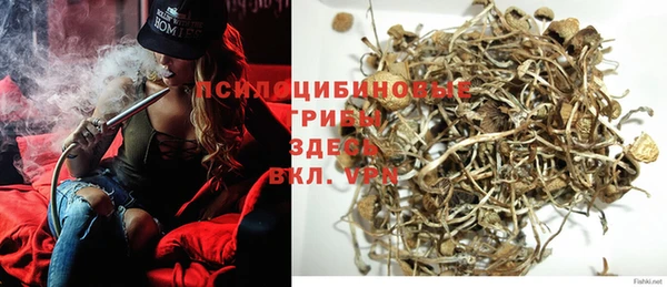 PSILOCYBIN Арсеньев