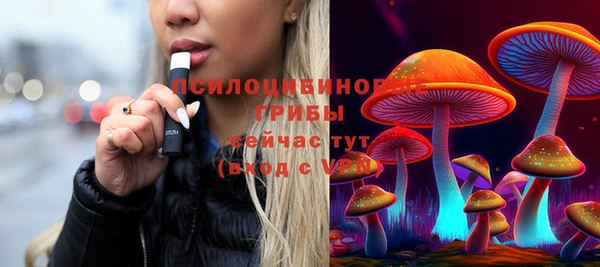 PSILOCYBIN Арсеньев