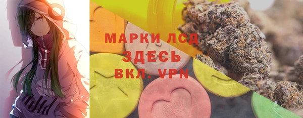 ПСИЛОЦИБИНОВЫЕ ГРИБЫ Аркадак